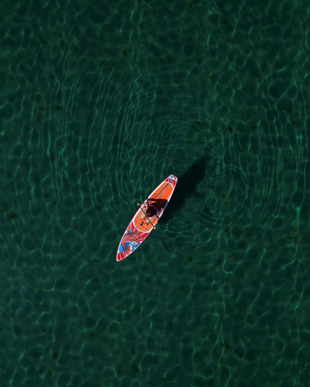 Inflatable paddle boards on serene Canadian waters, offering portability, stability, and eco-friendly benefits for outdoor enthusiasts.