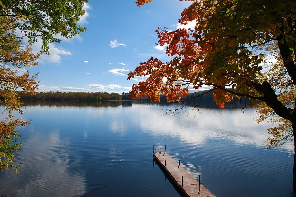 Explore Ontario's Best Lakes for Paddleboarding