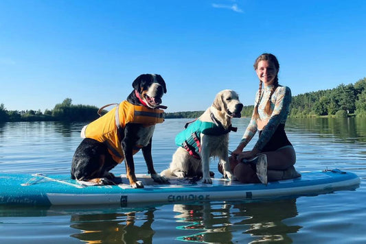 Funwater stand up paddle board suitable for you and your pet