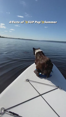 Funwater paddle board has stability on the water for you and your pets